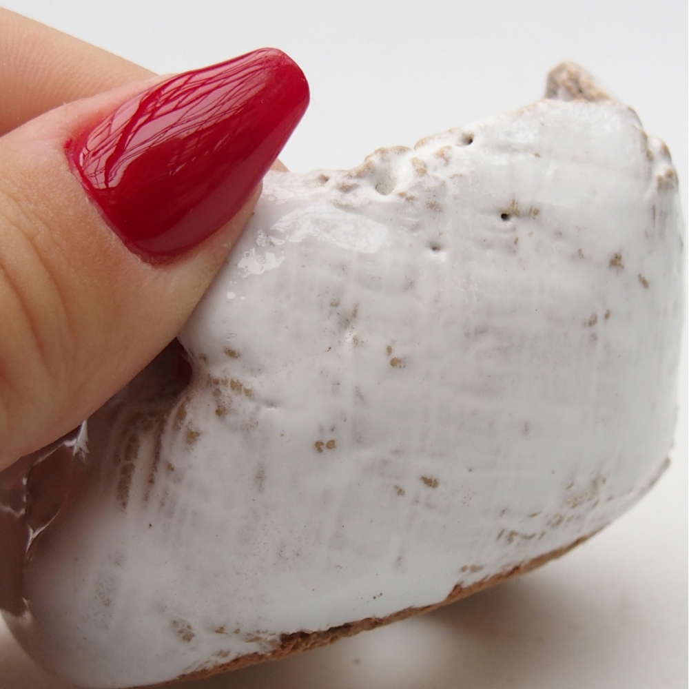 Conchiglia in ceramica 7 x 6,5 x 5 cm , colore bianco