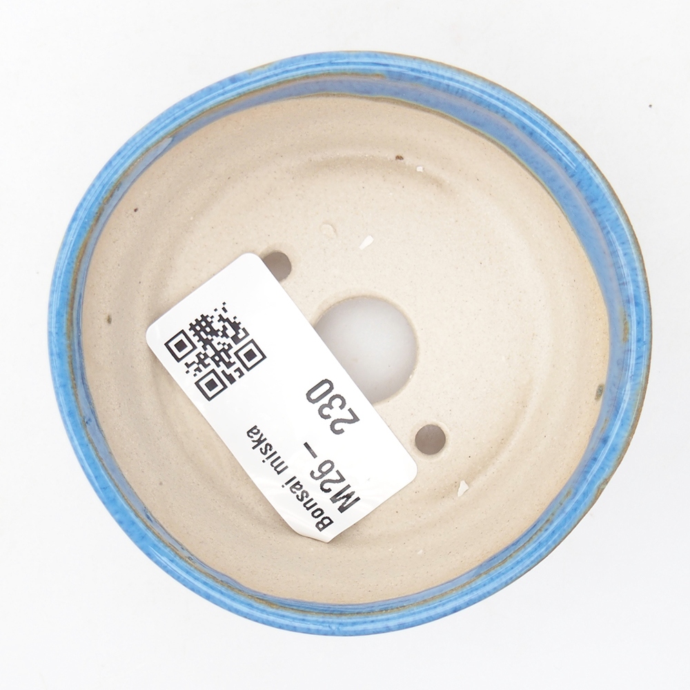 Mini bonsai 7 x 7 x 3 cm, blu