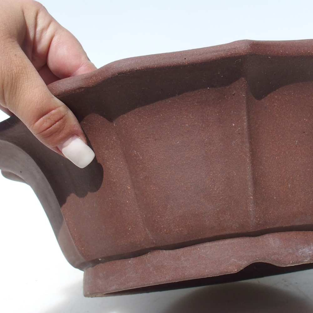 Ciotola per bonsai 30,5 x 30,5 x 10 cm - marrone