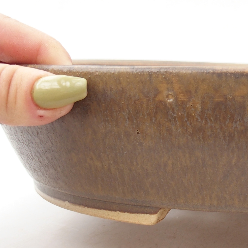 Ciotola per bonsai in ceramica 24 x 28 x 6 cm, marrone