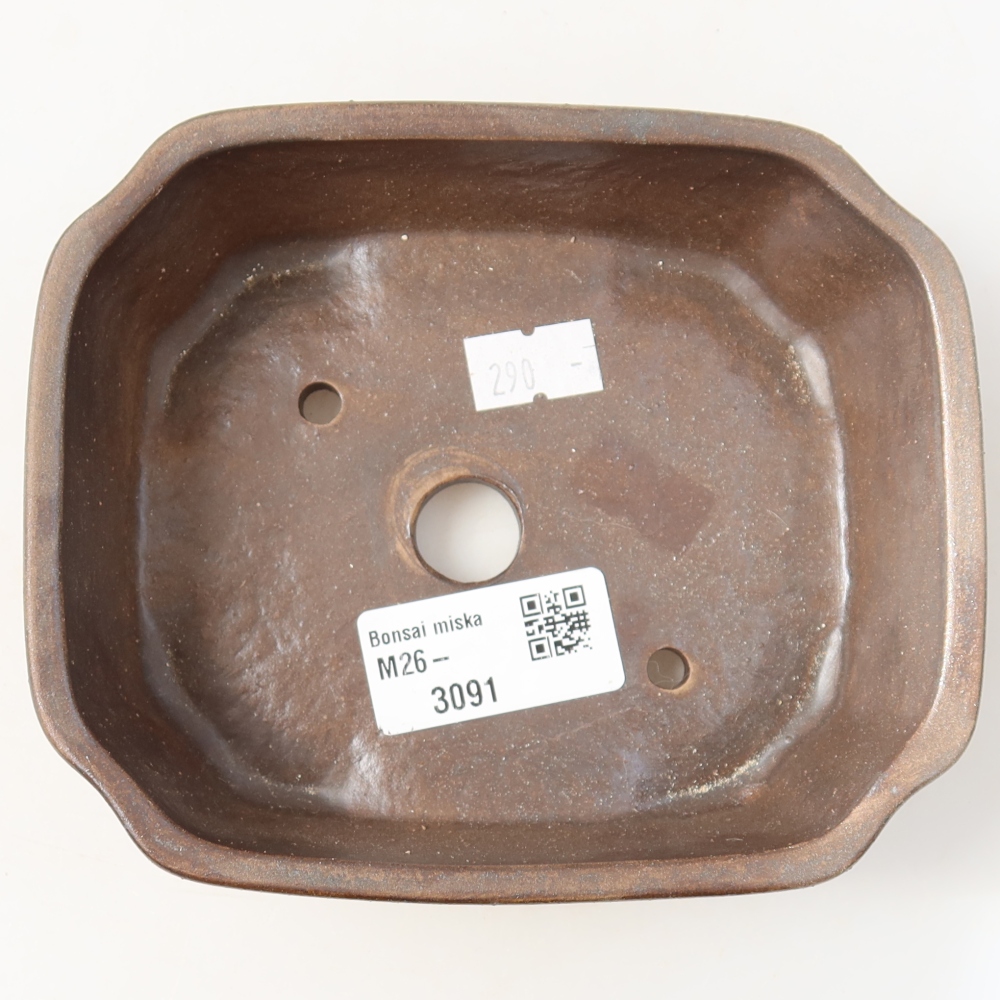 Vaso in ceramica per bonsai 13,5 x 11,5 x 4 cm, colore marrone