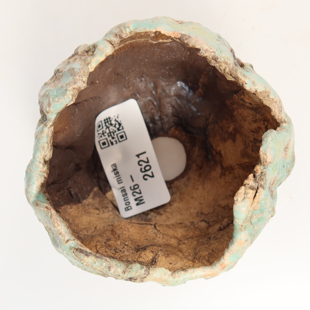 Guscio in ceramica  7 x 7 x 7 cm, colore verde