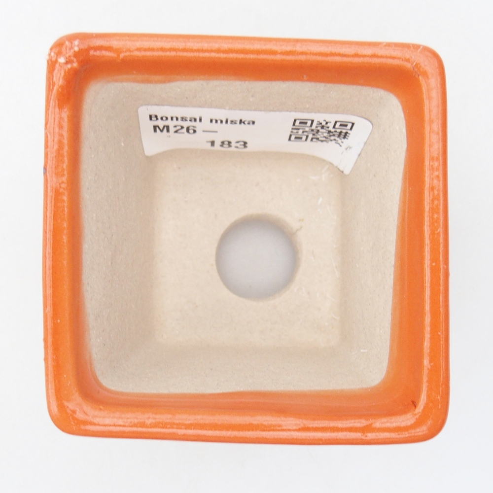 Ciotola per mini bonsai 6 x 6 x 5 cm, arancione