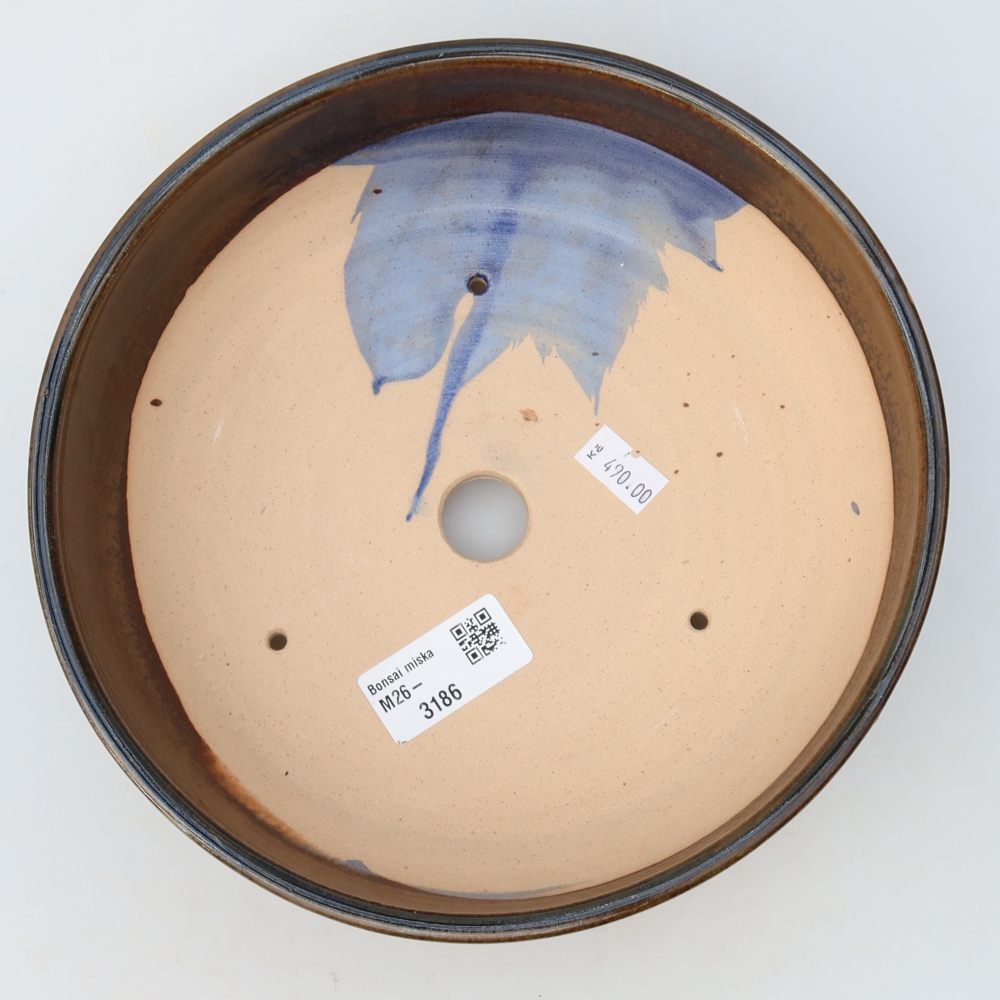 Ciotola per bonsai in ceramica 20 x 20 x 6 cm, marrone