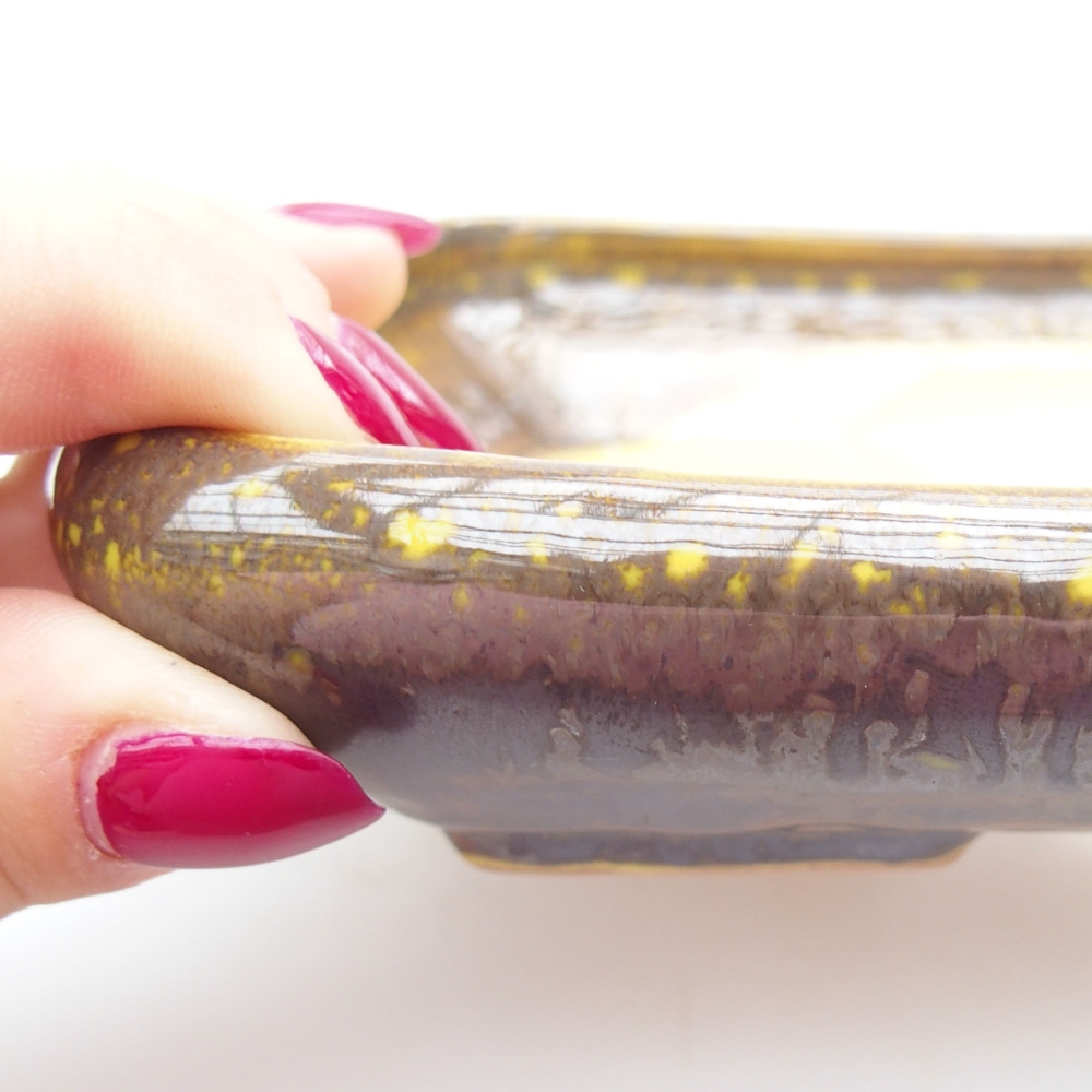 Ciotola bonsai in ceramica 17 x 14 x 3,5 cm, giallo