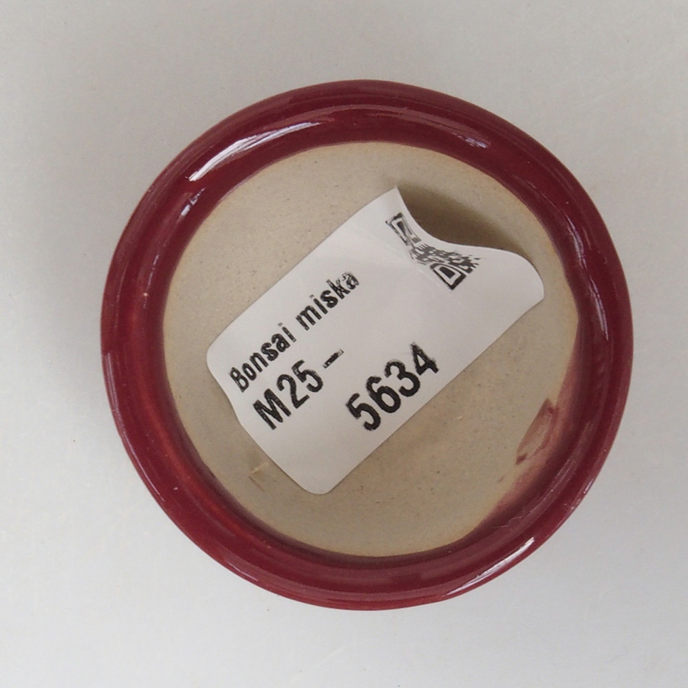 Ciotola per mini bonsai 4,5 x 4,5 x 2,5 cm, bordeaux