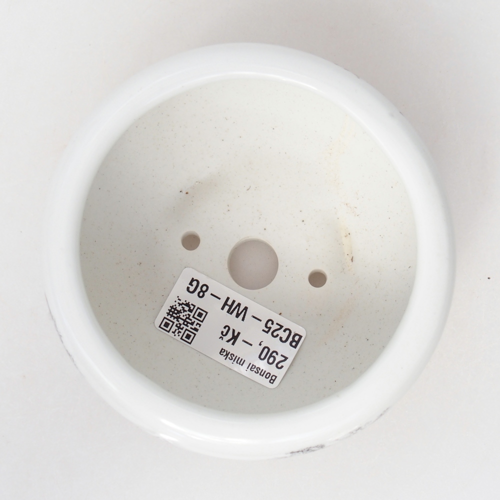 Ciotola per bonsai in ceramica 10 x 10 x 5 cm, colore bianco