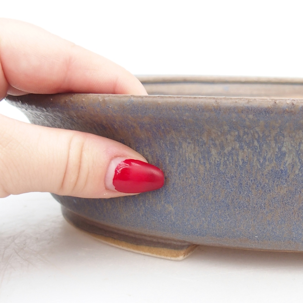 Ciotola bonsai in ceramica 26,5 x 24 x 5,5 cm, colore blu