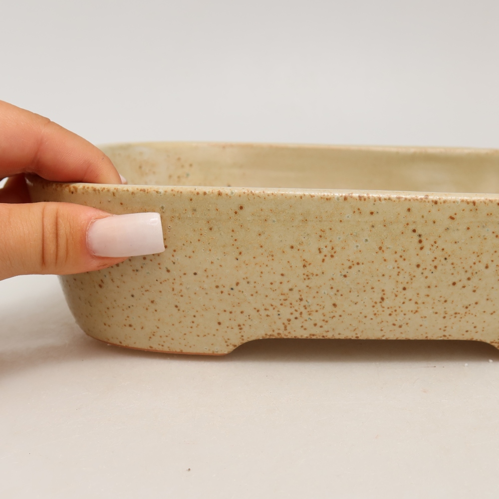 Vaso da bonsai in ceramica 23 x 18 x 5,5 cm, colore beige