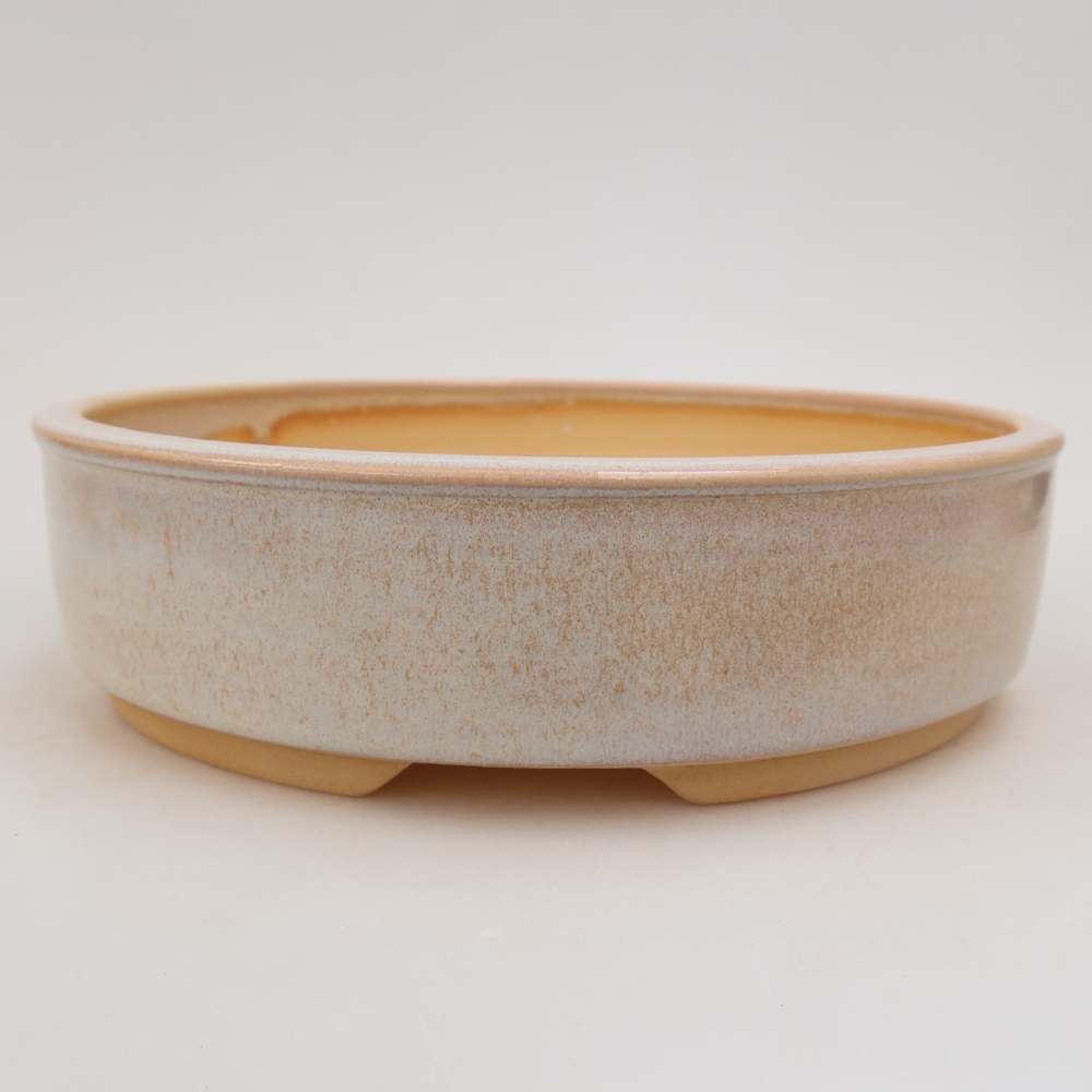 Vaso da bonsai in ceramica 23 x 23 x 6 cm, colore beige