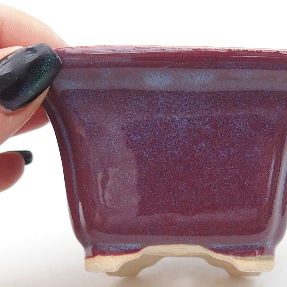 Mini bonsai 7,5 x 7,5 x 4,5 cm, bordeaux