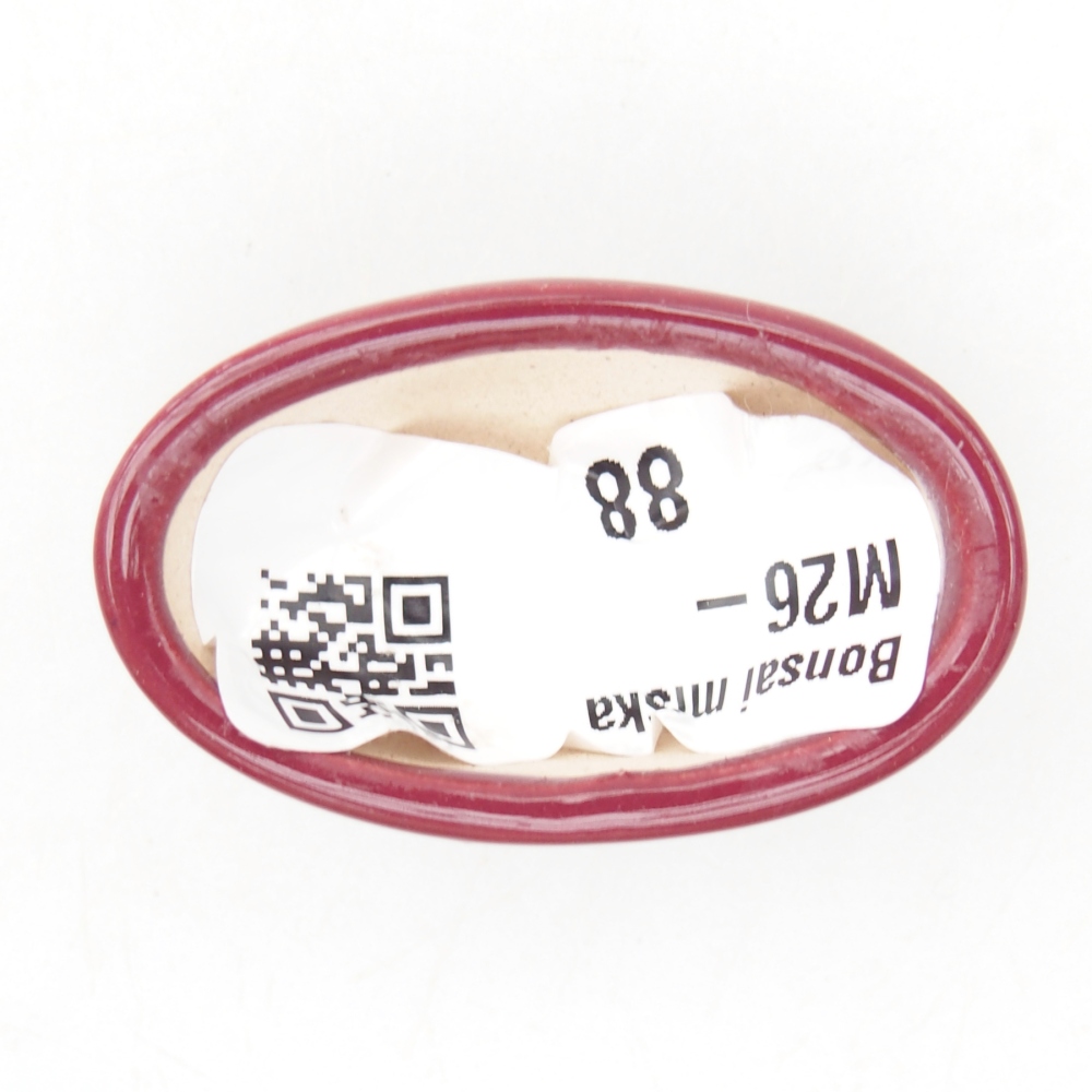 Ciotola per mini bonsai 4 x 2,5 x 2 cm, bordeaux