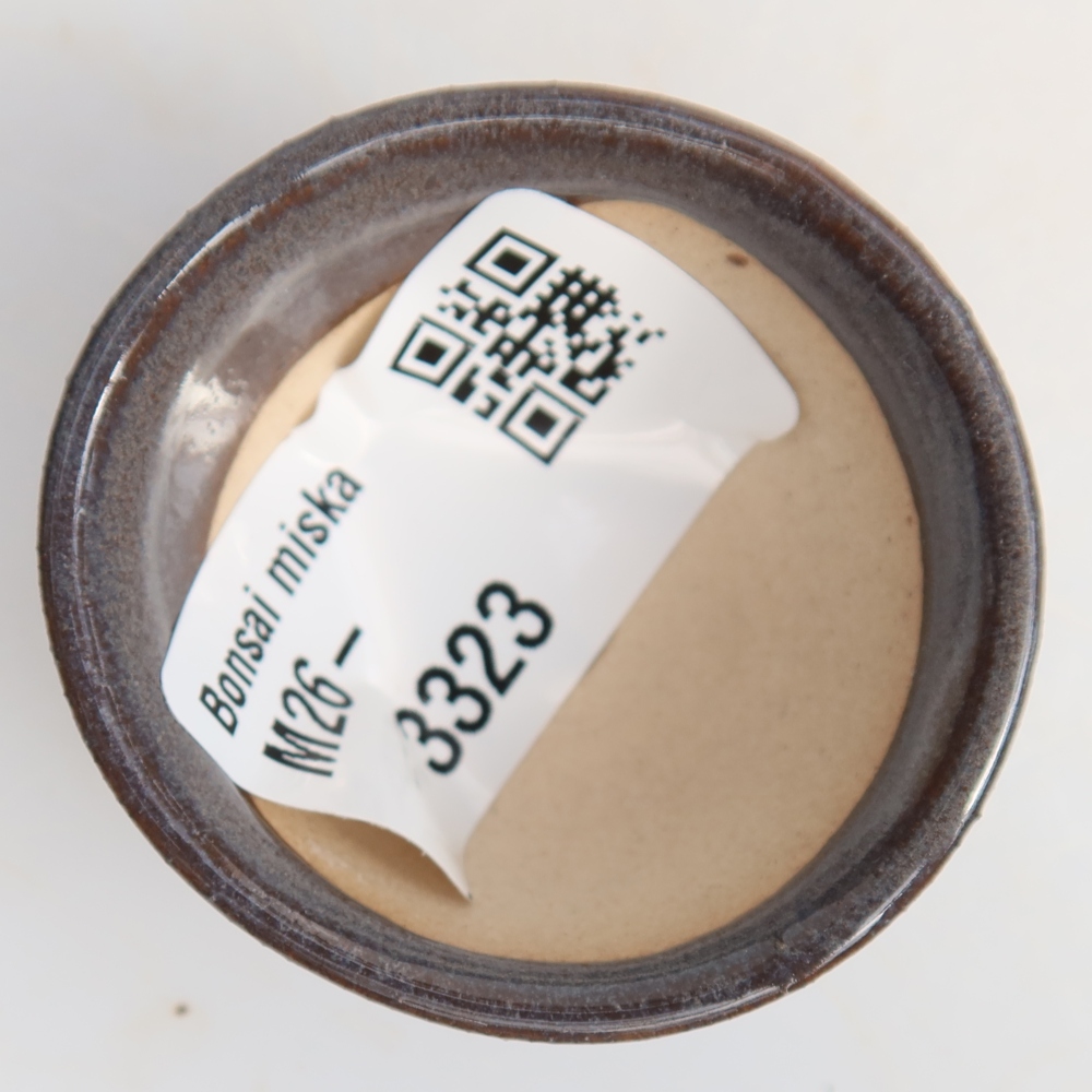 Vaso da bonsai in ceramica 4,5 x 4,5 x 2,5 cm, colore grigio