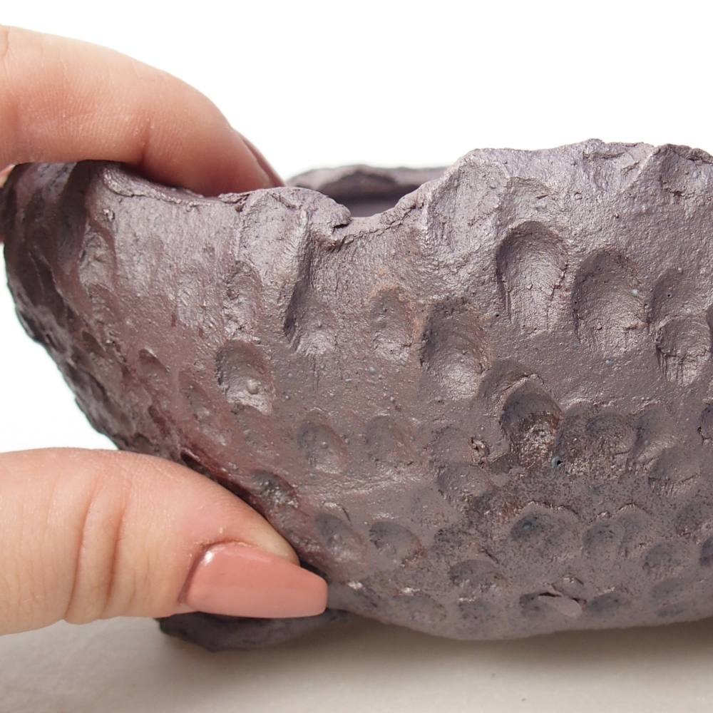 Ciotola bonsai in ceramica 17 x 17 x 7,5 cm, colore metallo