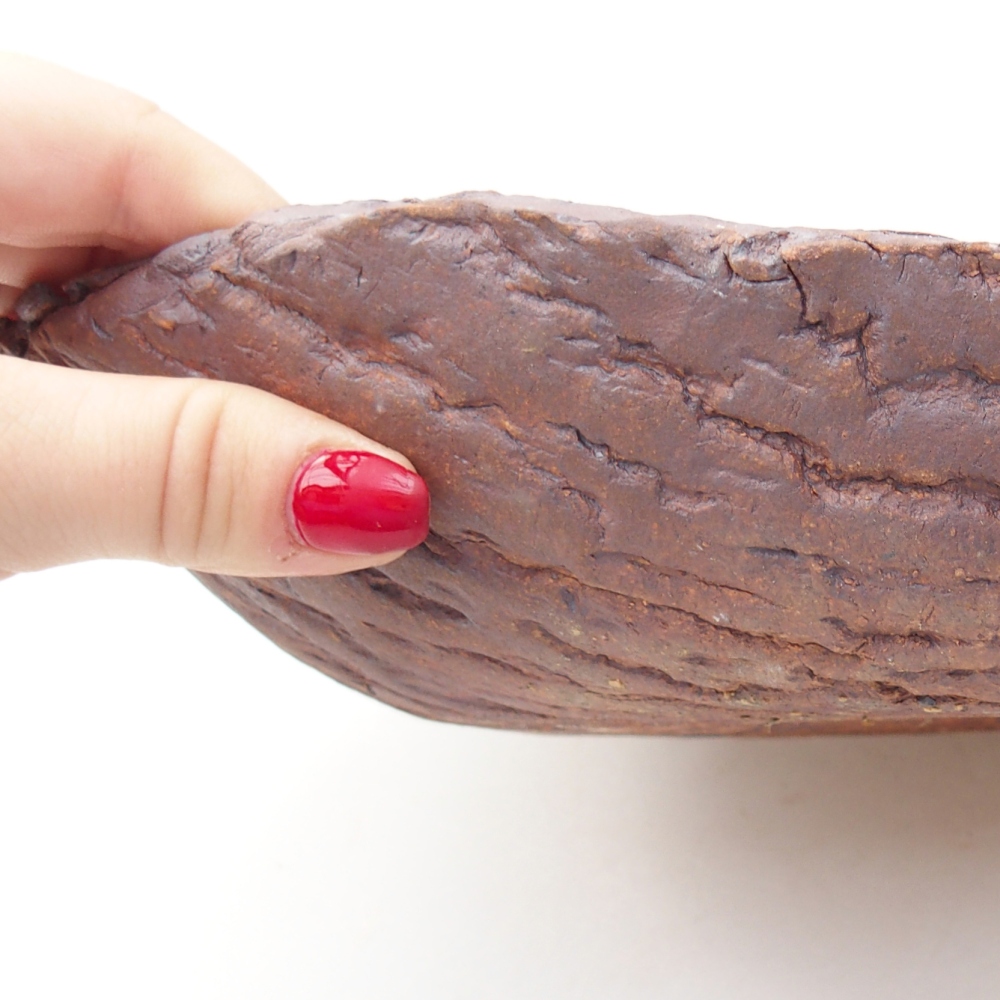 Conchiglia in ceramica 31 x 21 x 7,5 cm , colore marrone