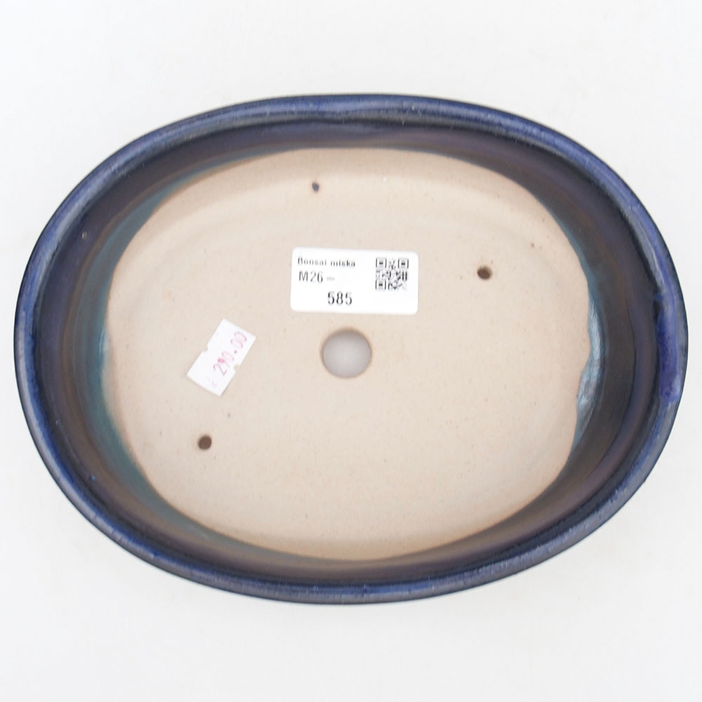 Ciotola bonsai in ceramica 19 x 14 x 5 cm, colore blu