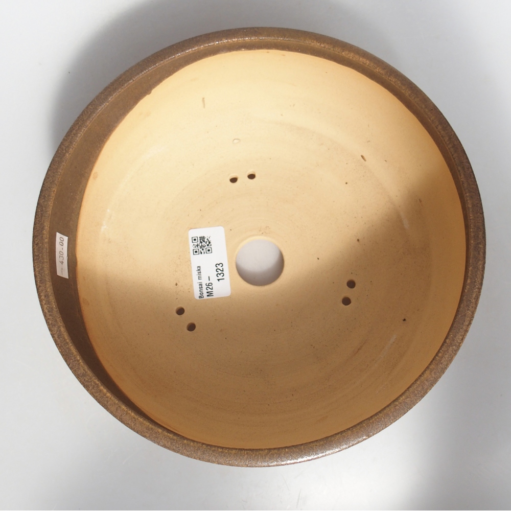 Ciotola per bonsai in ceramica 21 x 21 x 7,5 cm, marrone