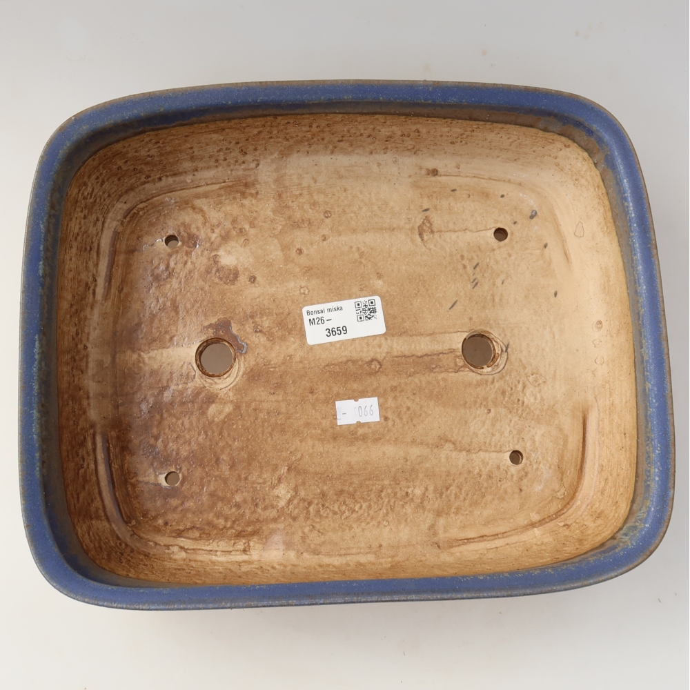 Ciotola bonsai in ceramica 29,5 x 24,5 x 7,5 cm, colore blu