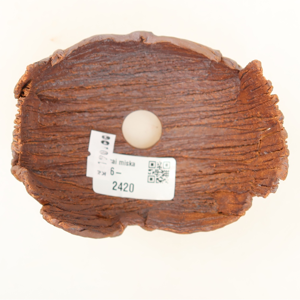 Guscio in ceramica  10,5 x 8,5 x 7,5 cm, colore marrone