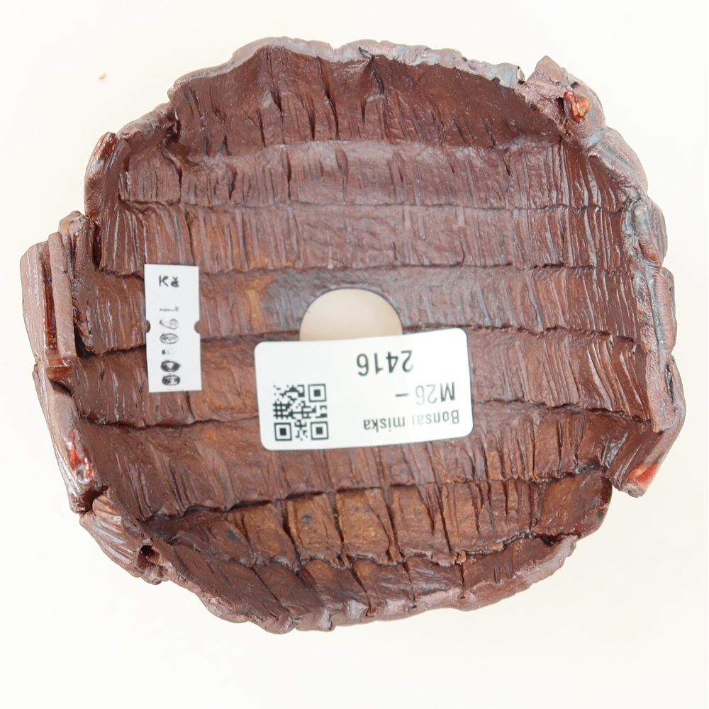 Guscio in ceramica  9,5 x 9,5 x 7 cm, colore marrone