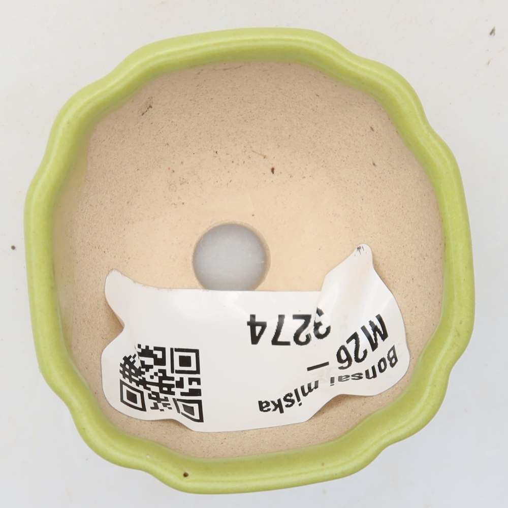 Ciotola per bonsai in ceramica 4,5 x 4,5 x 2,5 cm, verde