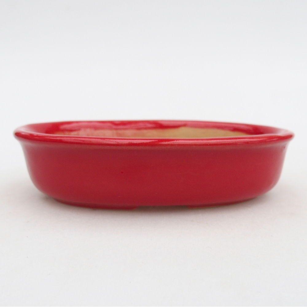 Ciotola bonsai in ceramica 26 x 26 x 8 cm, colore rosso