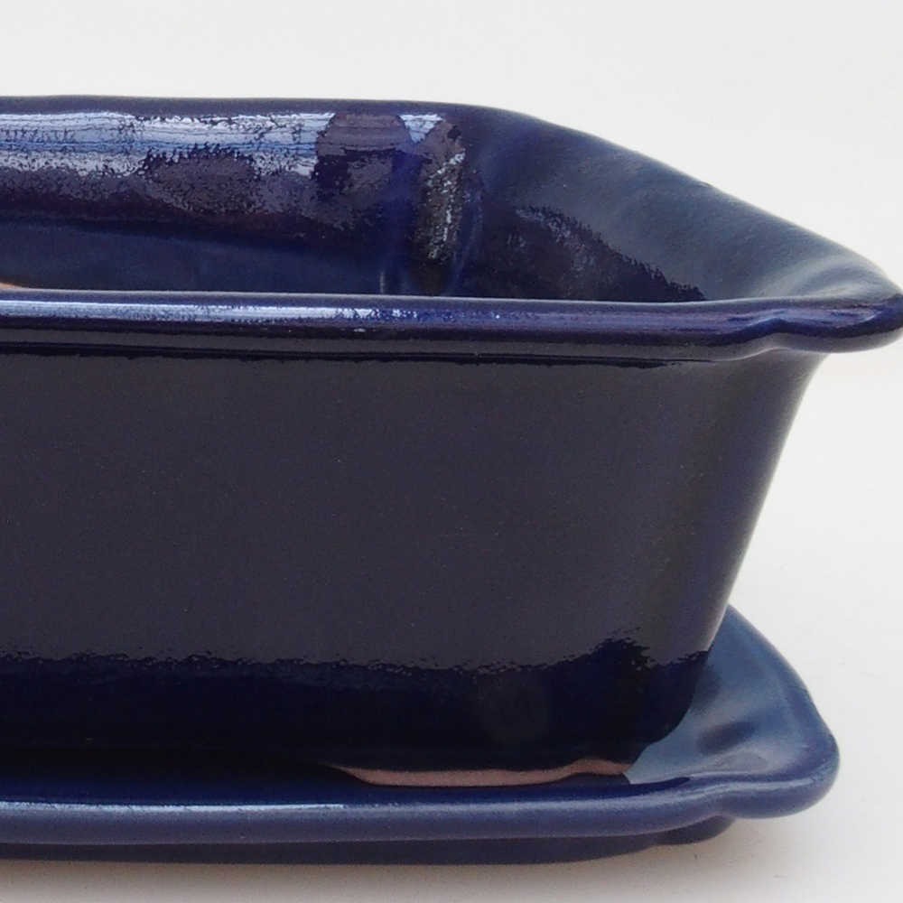 Ciotola bonsai + piattino H50 - blu