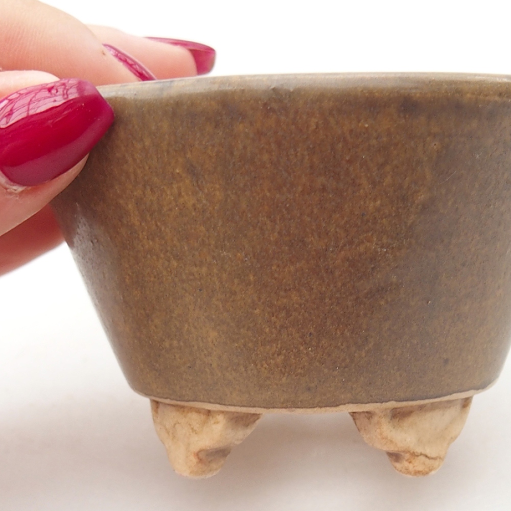 Ciotola per bonsai in ceramica 8 x 8 x 5,5 cm, marrone