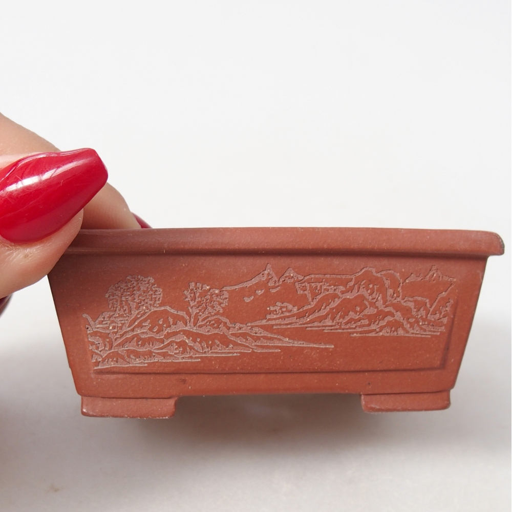 Mini bonsai 7,5 x 6,5 x 3 cm, colore mattone