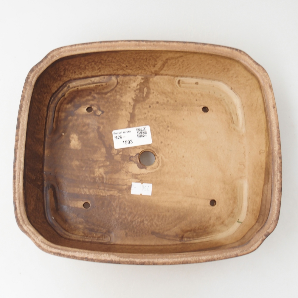 Ciotola bonsai in ceramica 24,5 x 21,5 x 6,5 cm, colore beige