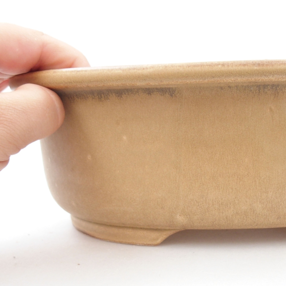 Ciotola bonsai in ceramica 23,5 x 19 x 8 cm, rosa