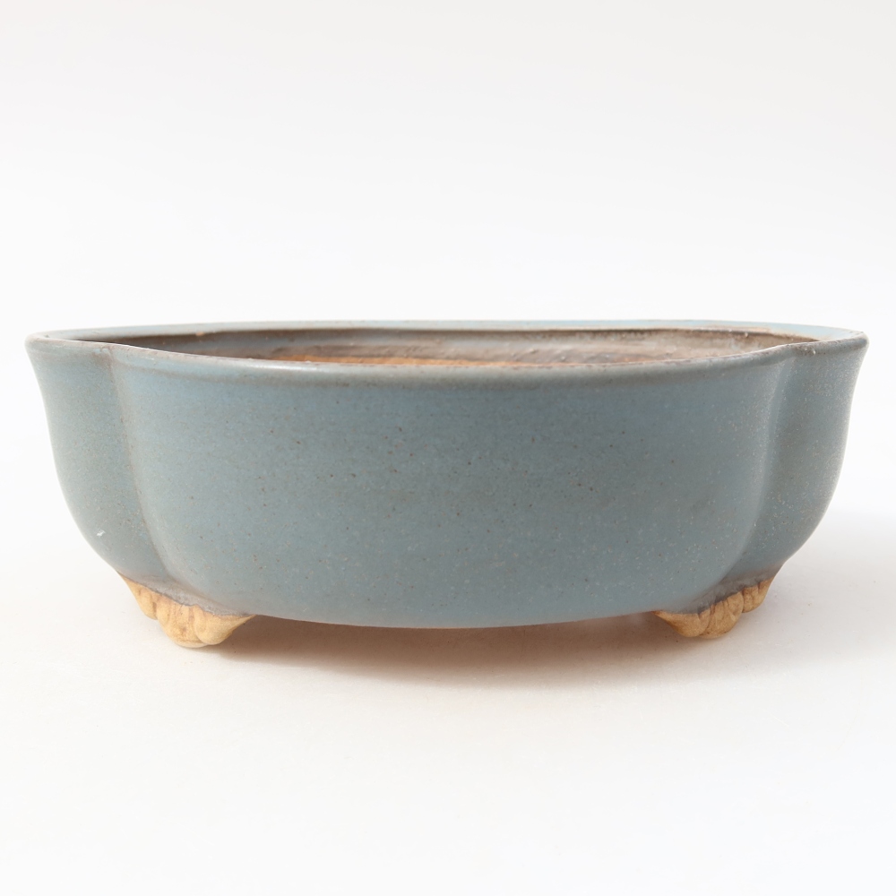 Vaso da bonsai in ceramica 17,5 x 15,5 x 5,5 cm, colore blu