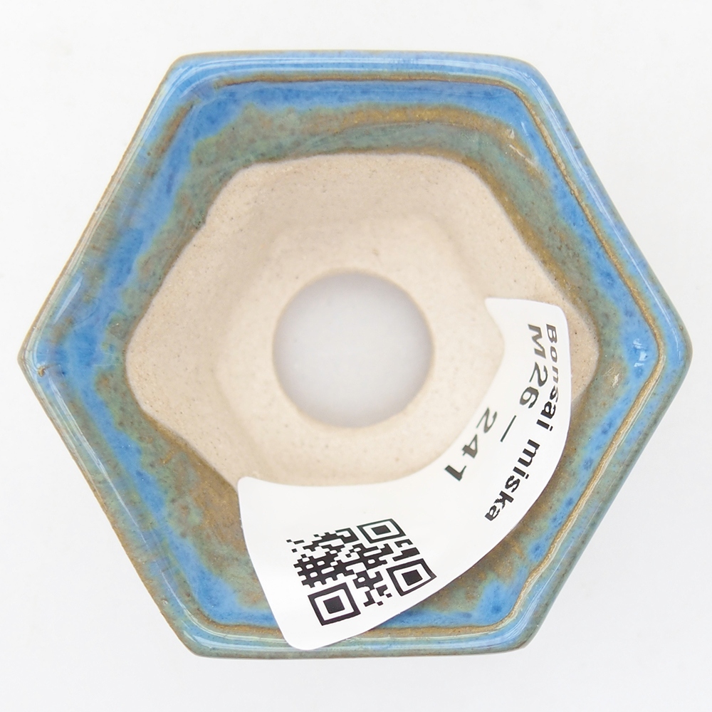 Mini bonsai 5,5 x 5 x 3 cm, colore blu