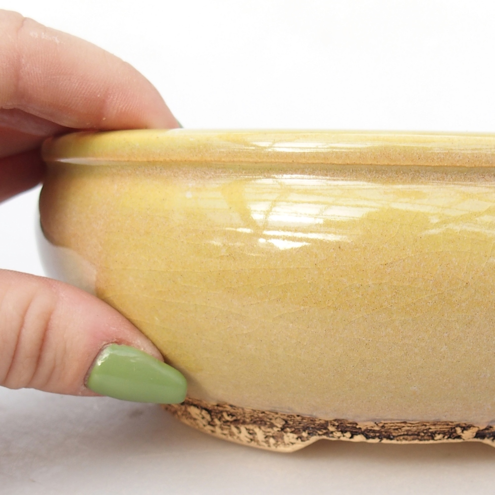 Ciotola per bonsai in ceramica 15,5 x 15,5 x 5,5 cm, giallo-verde
