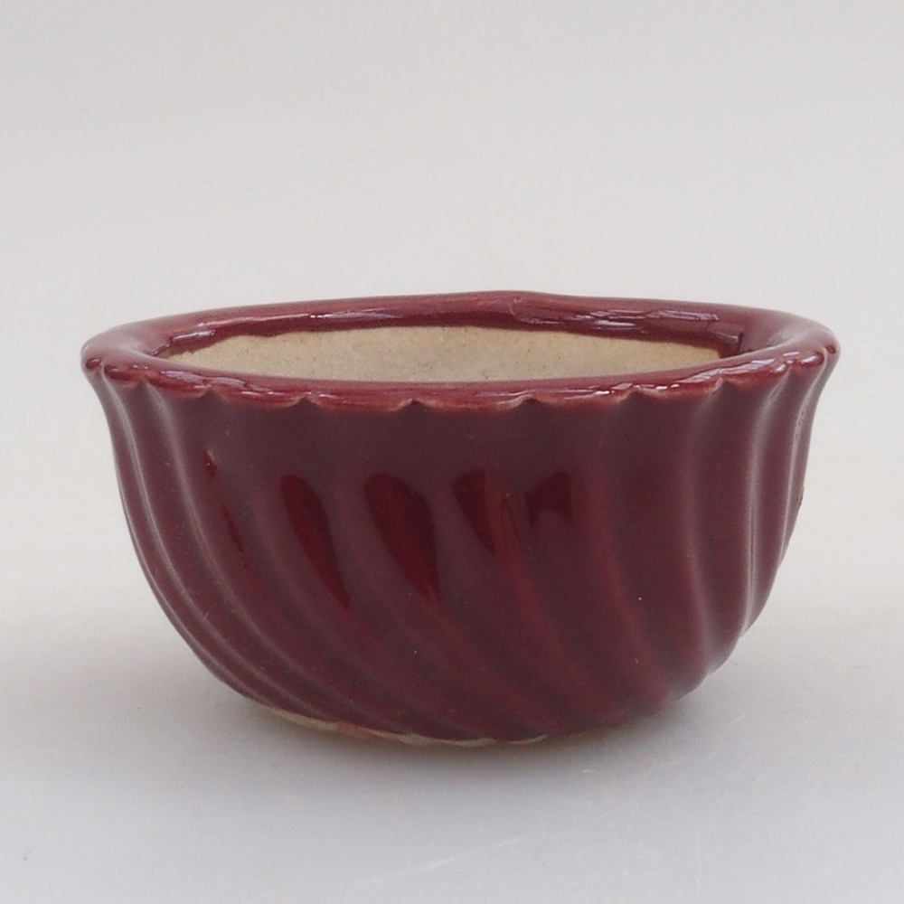 Mini bonsai 5 x 5 x 2,5 cm, colore bordeaux