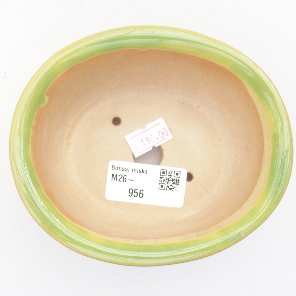 Ciotola per bonsai in ceramica 12 x 10 x 5,5 cm, verde