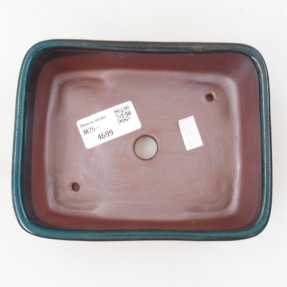 Ciotola bonsai in ceramica 15 x 12 x 4,5 cm, verde