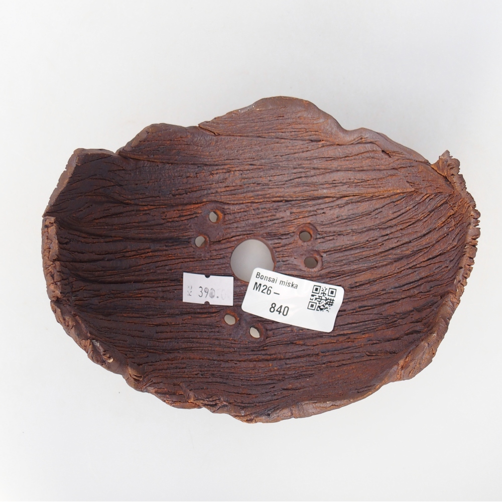 Conchiglia in ceramica 14 x 12 x 9,5 cm , colore marrone