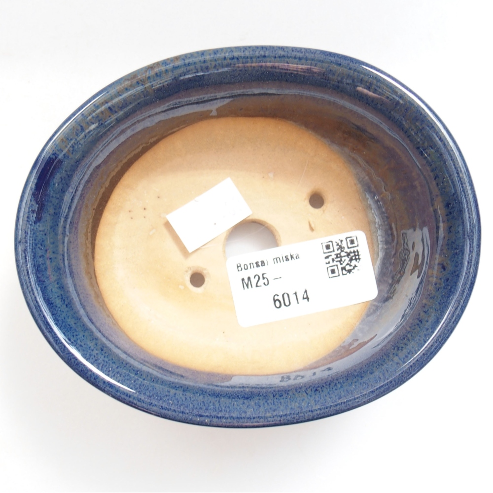 Ciotola bonsai in ceramica 22 x 17 x 5 cm, verde