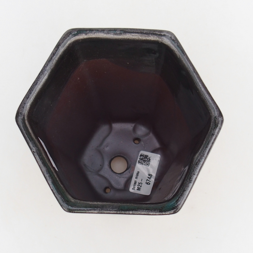 Ciotola per bonsai in ceramica 12,5 x 11,5 x 16,5 cm, verde