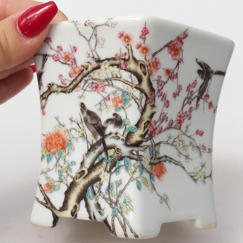 Ciotola per bonsai in ceramica 10,5 x 9,5 x 9 cm, colore bianco