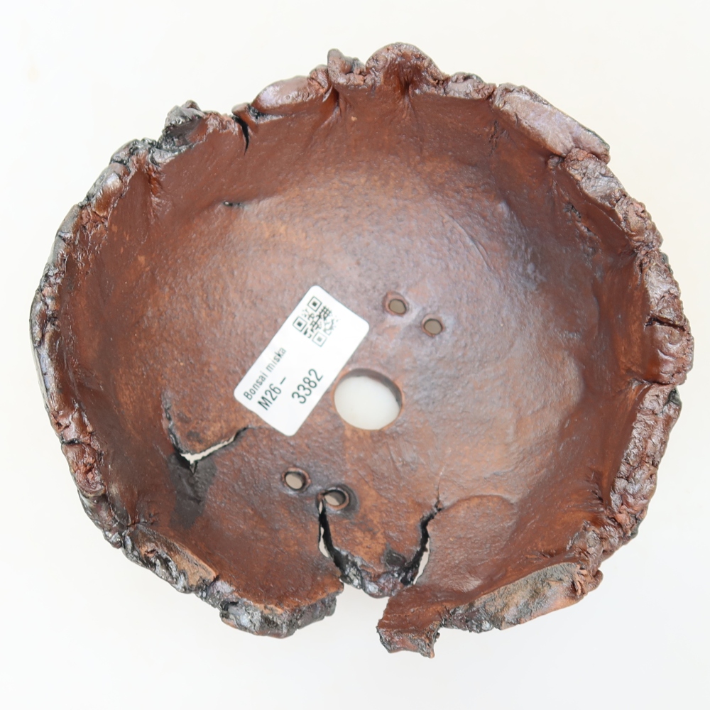 Guscio in ceramica 14,5 x 14 x 8,5 cm, colore marrone