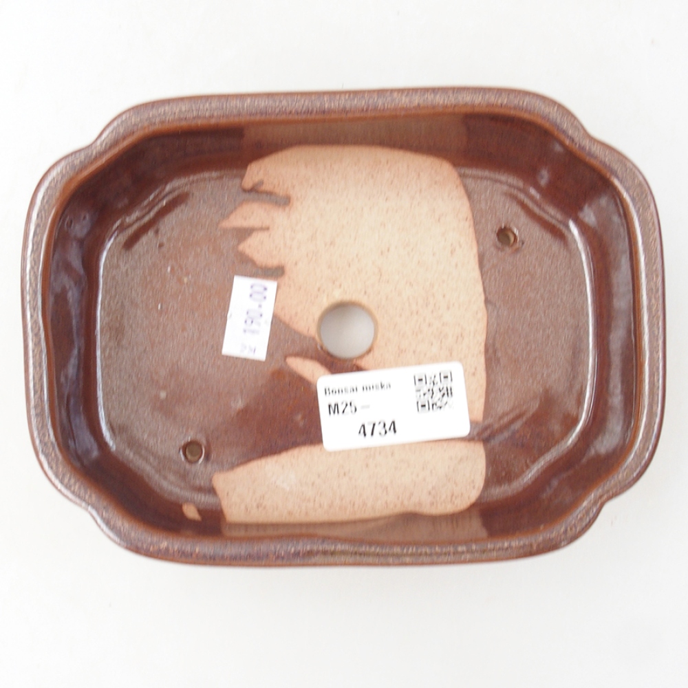 Ciotola per bonsai in ceramica 15 x 11,5 x 4,5 cm, marrone
