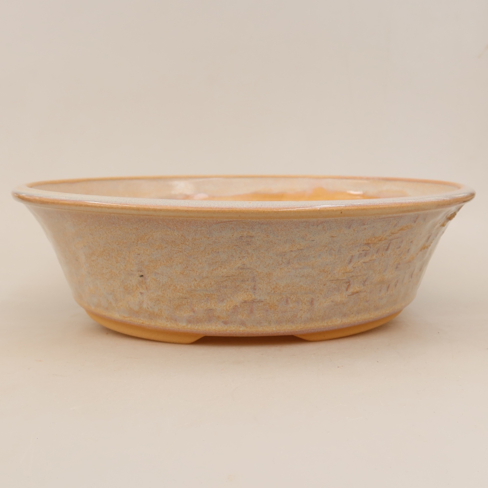 Vaso da bonsai in ceramica 29,5 x 29,5 x 8 cm, colore beige