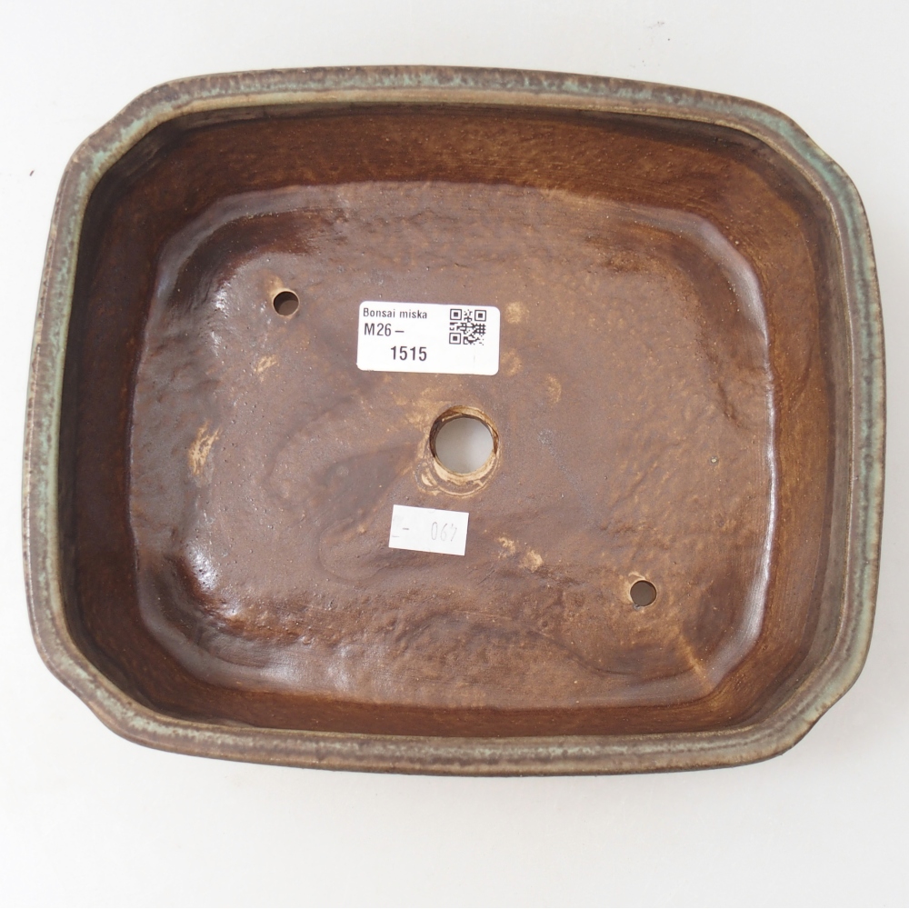 Ciotola per bonsai in ceramica 21,5 x 18 x 6 cm, colorata e annaffiata