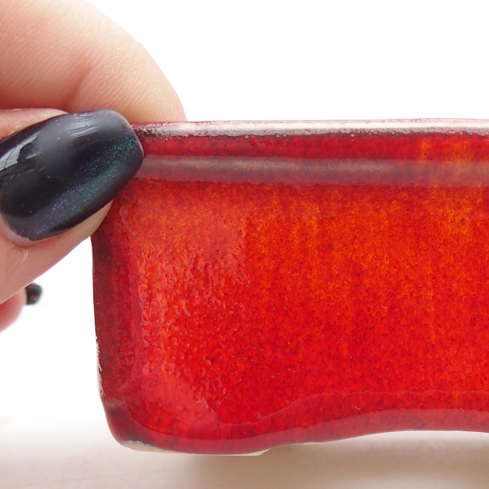 Mini bonsai 8,5 x 6,5 x 3,5 cm, colore rosso