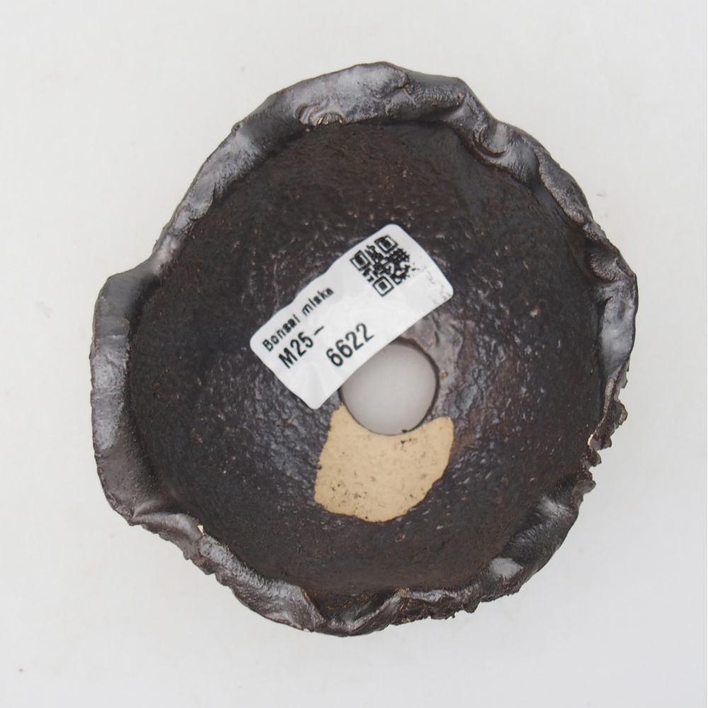 Conchiglia in ceramica 9 x 9 x 6 cm , colore nero