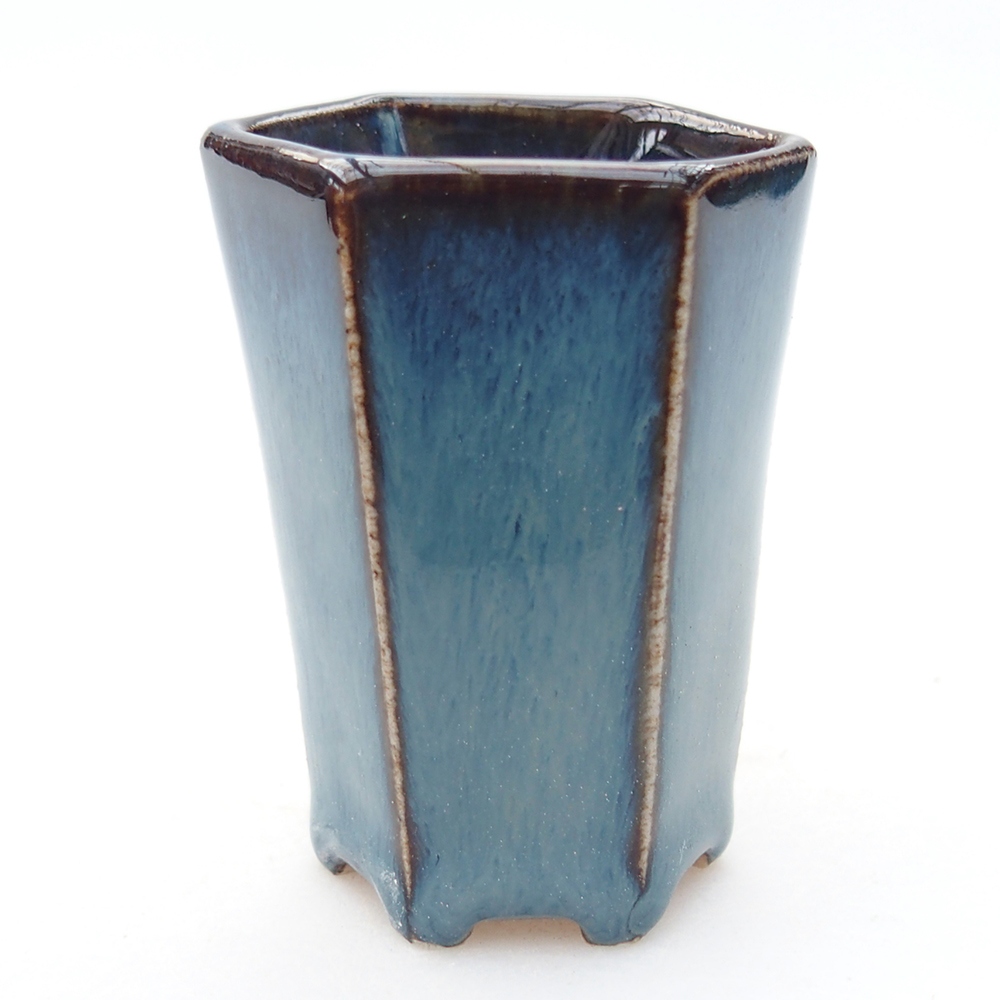 Mini bonsai 4 x 3,5 x 5,5 cm, colore blu