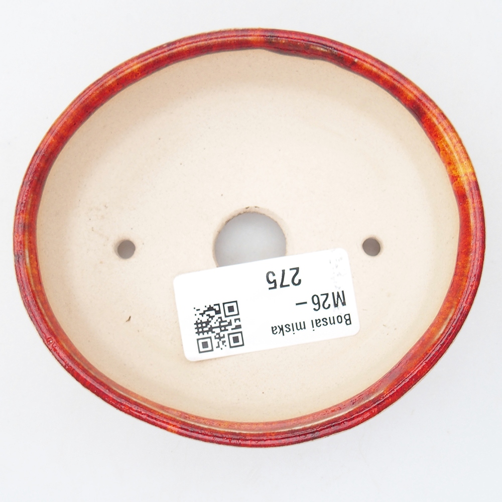 Mini bonsai 9,5 x 8,5 x 3 cm, arancione