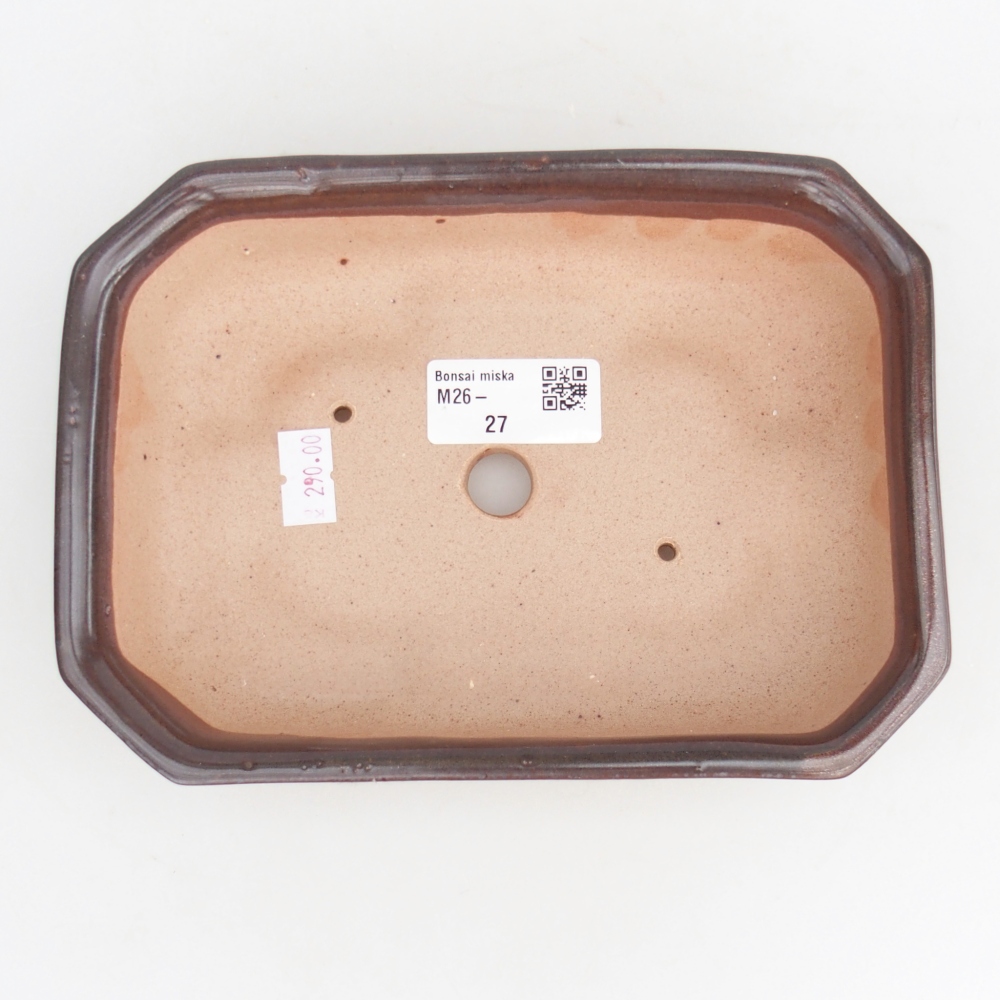 Ciotola per bonsai in ceramica 18,5 x 13,5 x 4,5 cm, marrone